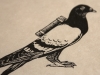 carrier pigeon detail