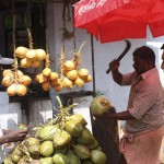 tender coconut stand