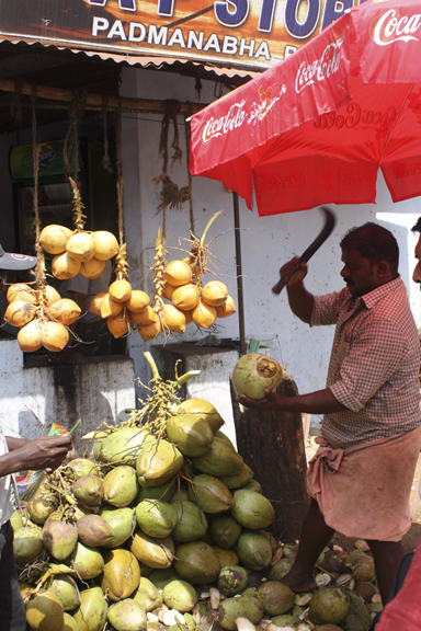 tender coconut stand