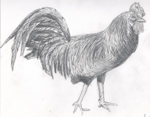 sketch